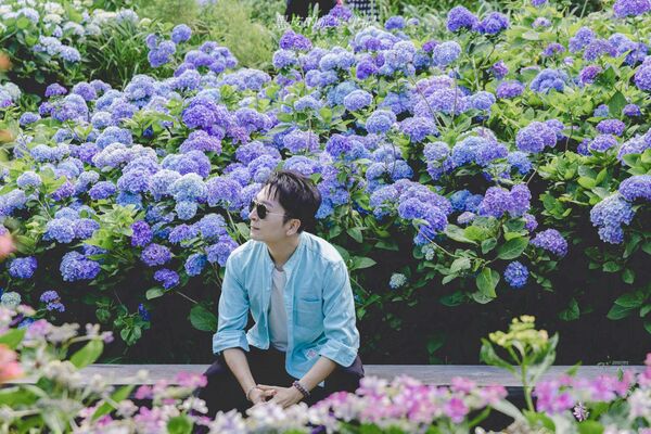 ▲▼曹家花田香。（圖／部落客黑皮的旅遊筆記授權提供）