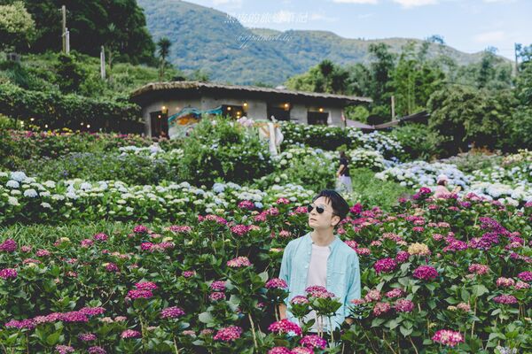 ▲▼曹家花田香。（圖／部落客黑皮的旅遊筆記授權提供）