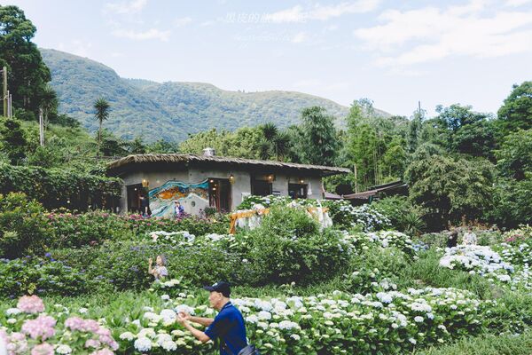 ▲▼曹家花田香。（圖／部落客黑皮的旅遊筆記授權提供）