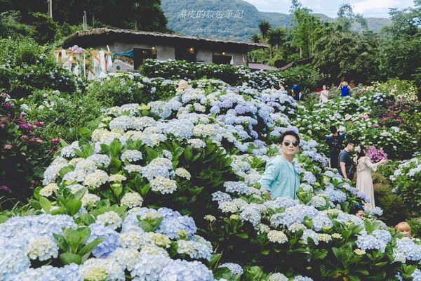 ▲▼曹家花田香。（圖／部落客黑皮的旅遊筆記授權提供）