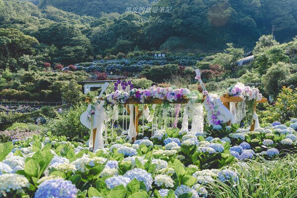 ▲▼曹家花田香。（圖／部落客黑皮的旅遊筆記授權提供）