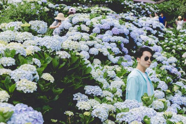 ▲▼曹家花田香。（圖／部落客黑皮的旅遊筆記授權提供）