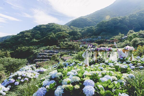 ▲▼曹家花田香。（圖／部落客黑皮的旅遊筆記授權提供）