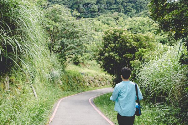 ▲▼曹家花田香。（圖／部落客黑皮的旅遊筆記授權提供）