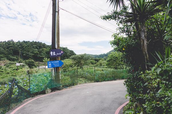 ▲▼曹家花田香。（圖／部落客黑皮的旅遊筆記授權提供）