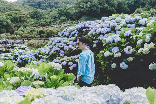 ▲▼曹家花田香。（圖／部落客黑皮的旅遊筆記授權提供）