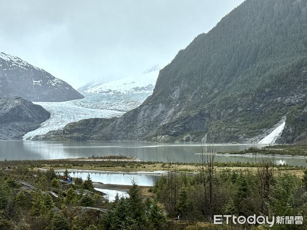 ▲棉田豪冰河（Mendenhall Glacier）是阿拉斯加最知名、也最容易親近的冰河景點之一。（圖／記者彭懷玉攝）