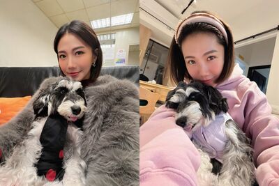 大牙查晶片破案！揭愛犬遭棄荒涼墳墓　「真實年齡反轉」內幕殘酷