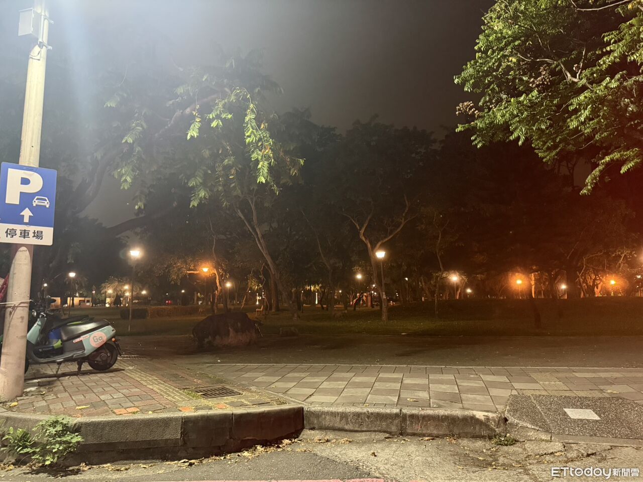 快訊/台中四張犁公園驚見人形物體 竟是女子陳屍樹下