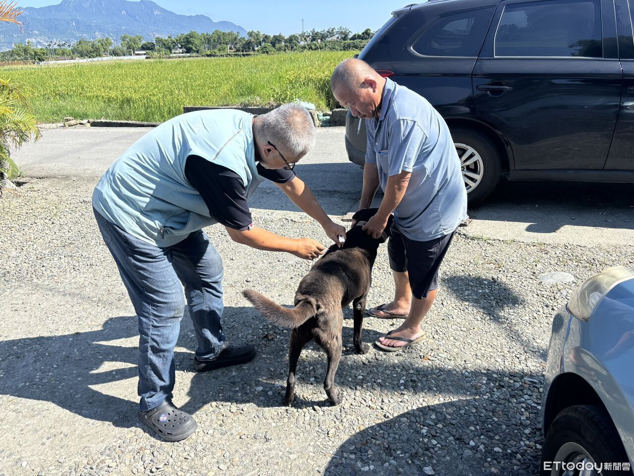 台東狂犬病警訊再現 5月3例鼬獾確診縣府全面強化防疫