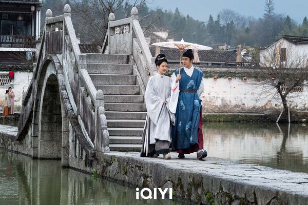 ▲《家業》由楊紫、韓東君主演。（圖／愛奇藝國際版提供）