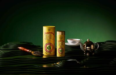 2.2萬個「一心二葉」嫩芽才做1公斤 TWG頂級「大吉嶺春摘茗茶」台灣登場