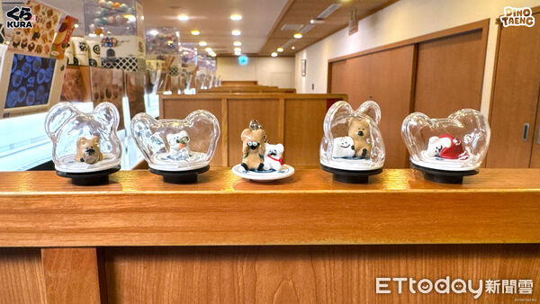 ▲藏壽司宣布與人氣IP品牌DINOTAENG呆萌町聯名。（圖／藏壽司提供）