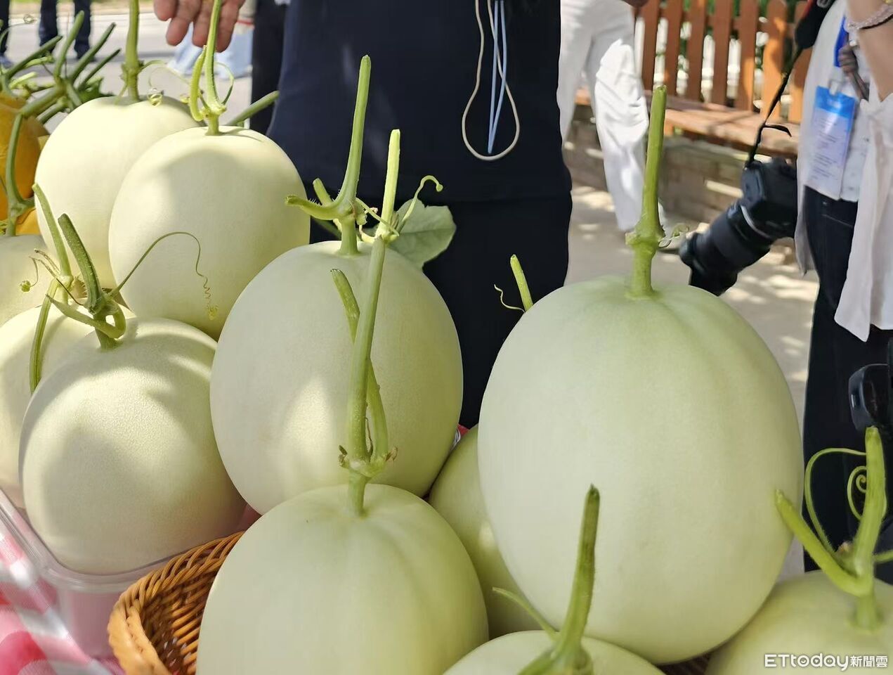 台灣玉菇西進變「甜妞一號」 軟糯香甜!今晚採、明早到北京