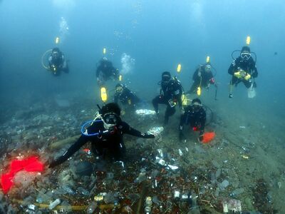 全國海洋環境管理考核揭曉　新北連2年榮登特優城市