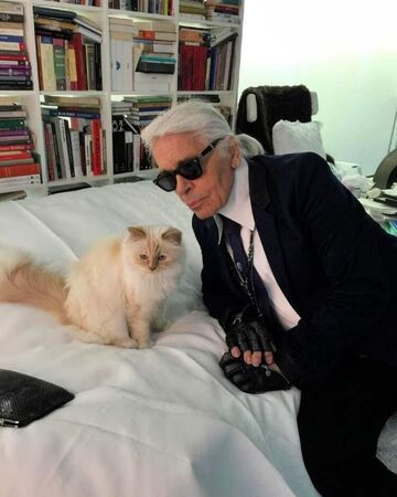 卡爾拉格斐生前視Choupette為「唯一的真愛」。（翻攝choupetteofficiel IG）