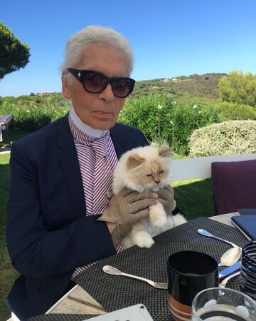 Choupette是拉格斐生前最著名的繆思之一。（翻攝karllagerfeld IG）