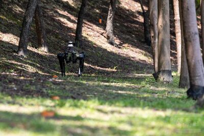可連續操作3小時　中科院機器狗支援灘岸巡檢