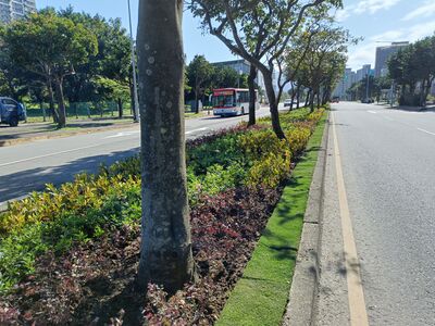 新北淡海新市鎮景觀添亮點　萬株植栽彩繪新市二路分隔島