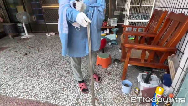 ▲▼雲林林內猴群氾濫。（圖／記者游瓊華翻攝）