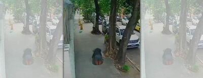 傻眼!她走路滑手機「突墜人孔蓋」 駭人畫面曝光