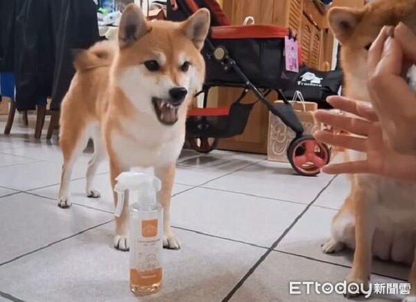▲。（圖／ 有點毛毛的／來自日本的～萌柴奶瓶提供）