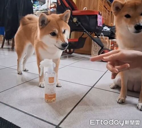 ▲。（圖／ 有點毛毛的／來自日本的～萌柴奶瓶提供）