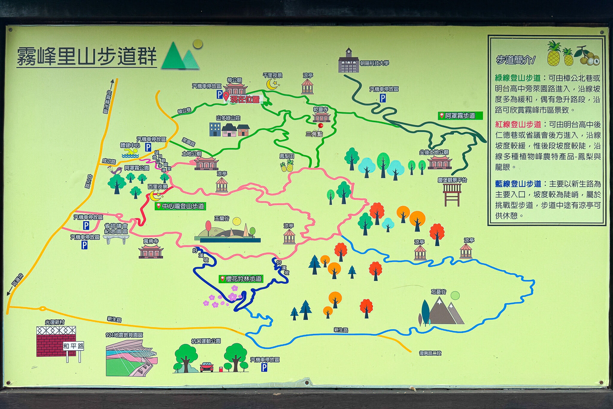 ▲▼阿罩霧步道。（圖／飛天璇的口袋授權提供）
