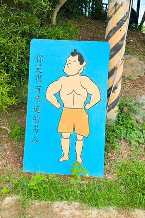 ▲▼阿罩霧步道。（圖／飛天璇的口袋授權提供）