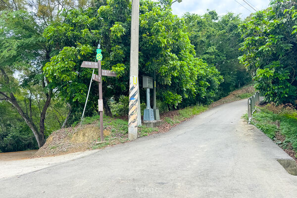 ▲▼阿罩霧步道。（圖／飛天璇的口袋授權提供）
