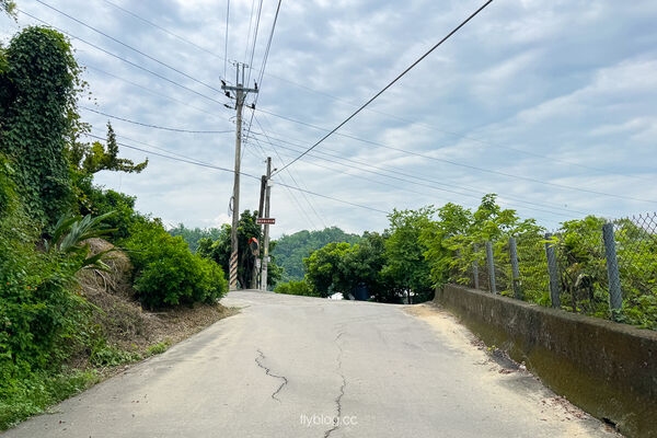 ▲▼阿罩霧步道。（圖／飛天璇的口袋授權提供）
