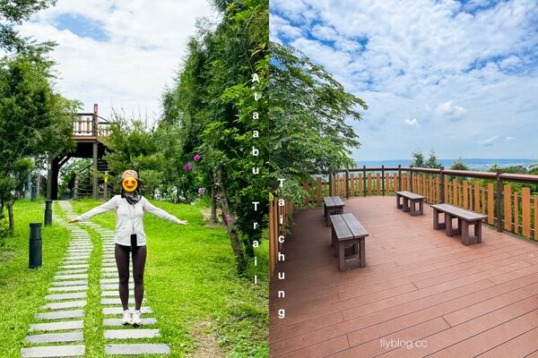 ▲▼阿罩霧步道。（圖／飛天璇的口袋授權提供）