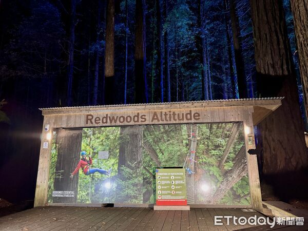 ▲紅木夜間燈光步道（Redwoods Nightlights Treewalk）距離羅托魯瓦市區僅5分鐘車程,紅木夜間燈光步道,紅木森林,紐西蘭景點。（圖／記者彭懷玉攝）