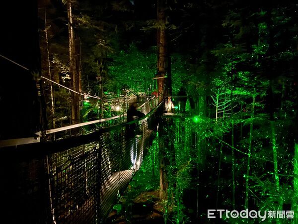 ▲紅木夜間燈光步道（Redwoods Nightlights Treewalk）距離羅托魯瓦市區僅5分鐘車程,紅木夜間燈光步道,紅木森林,紐西蘭景點。（圖／記者彭懷玉攝）