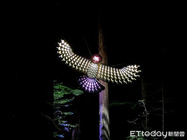 ▲紅木夜間燈光步道（Redwoods Nightlights Treewalk）距離羅托魯瓦市區僅5分鐘車程,紅木夜間燈光步道,紅木森林,紐西蘭景點。（圖／記者彭懷玉攝）
