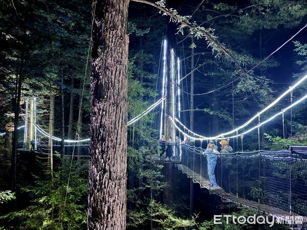 ▲紅木夜間燈光步道（Redwoods Nightlights Treewalk）距離羅托魯瓦市區僅5分鐘車程,紅木夜間燈光步道,紅木森林,紐西蘭景點。（圖／記者彭懷玉攝）