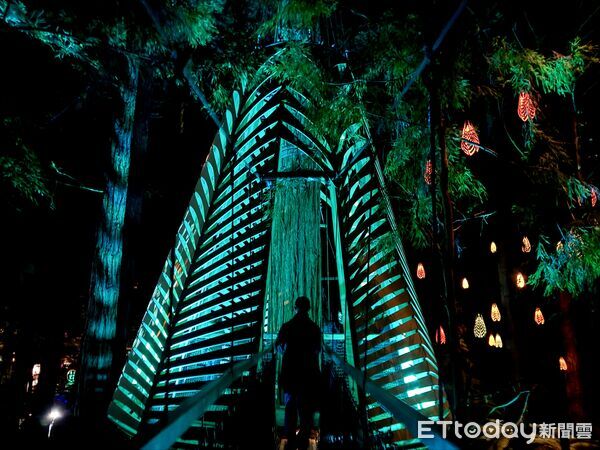 ▲紅木夜間燈光步道（Redwoods Nightlights Treewalk）距離羅托魯瓦市區僅5分鐘車程,紅木夜間燈光步道,紅木森林,紐西蘭景點。（圖／記者彭懷玉攝）