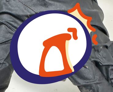 手掌大「巨無霸蟑螂」現身澳洲!10萬隻非法繁殖 黑市價破400萬