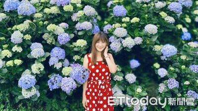 萬里8000坪繡球花海美炸！一日遊懶人包：爽嗑蟹粥、超巨芋圓...免費足湯收尾