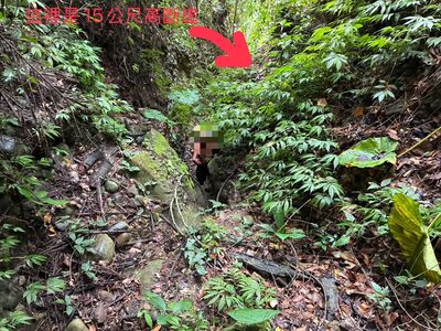要命！登山客迷航靠直覺下切！受困斷崖連手機都沒帶　奇蹟獲救