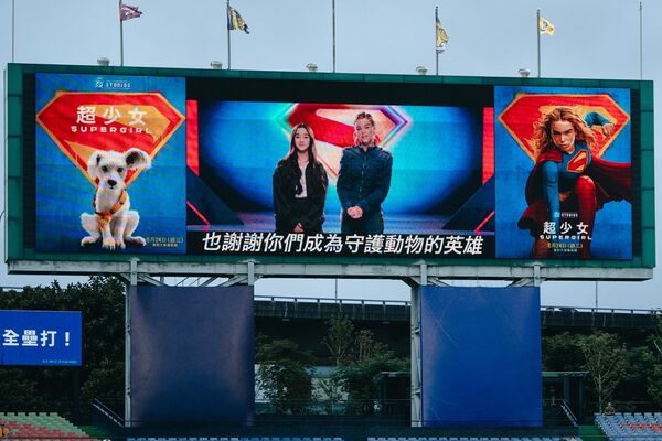 ▲《超少女》與中信兄弟主題日找來金牌訓犬師珺珺與「波特」擔任開球嘉賓，「超狗」波特與Passion Sisters熱情合影。（圖／華納提供）
