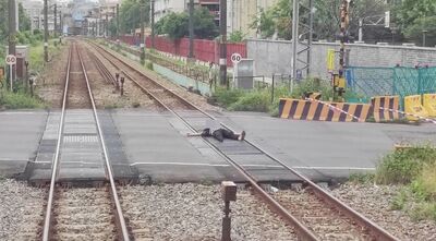 男戴安全帽臥軌平交道擋普悠瑪　民眾機警按鈴阻悲劇