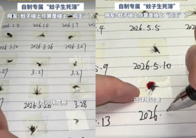 被蚊子逼瘋！男子連夜開戰3小時　怒做「滅門族譜」