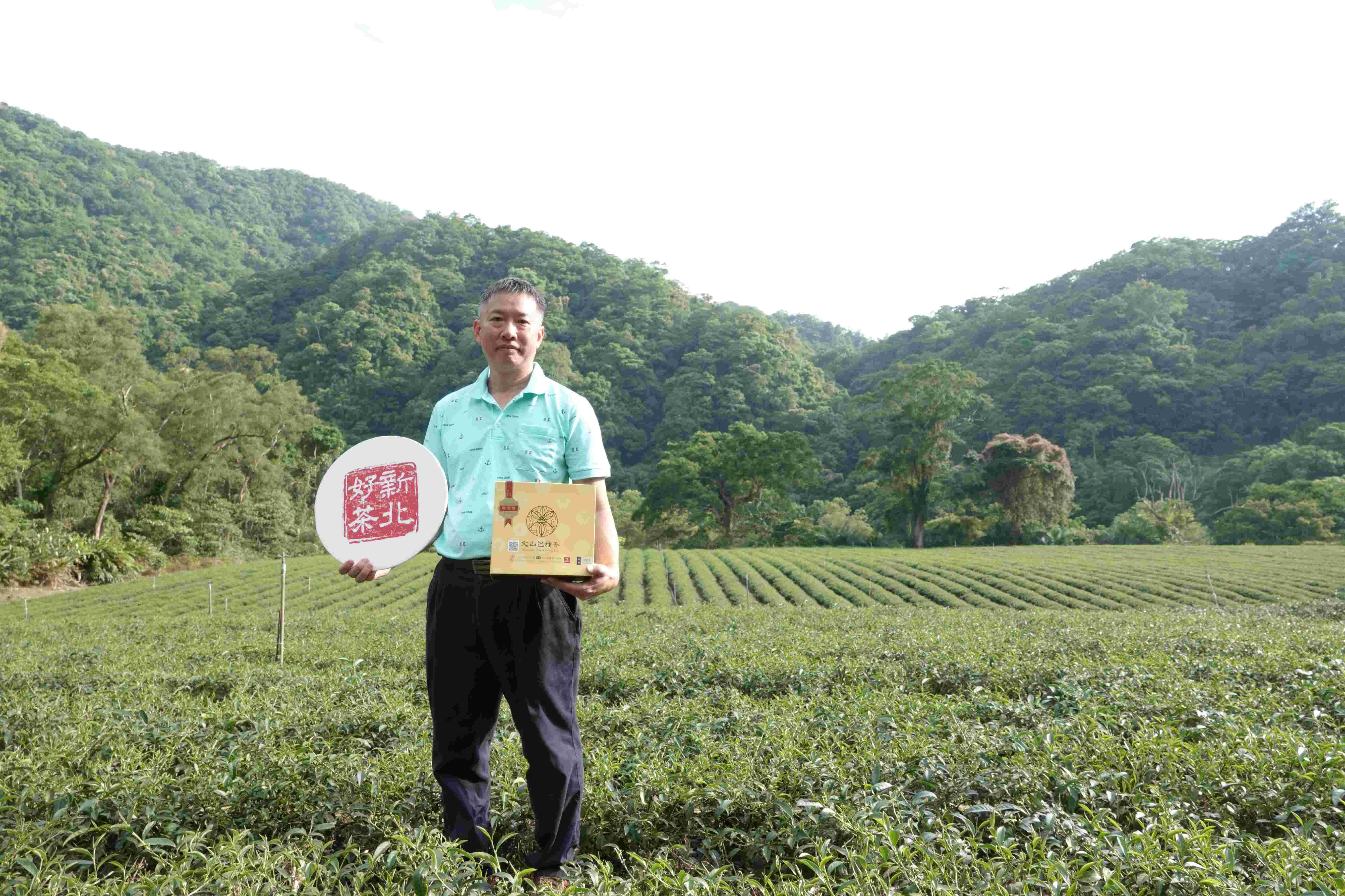 ▲新北春茶上市首推「茶香健走」。（圖／新北市農業局提供）