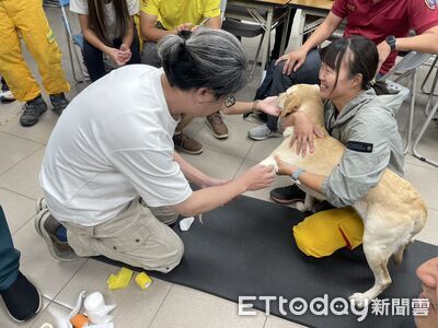 台南市特搜隊辦搜救犬醫療訓練　強化K9救護量能