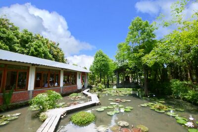 台中市區竟藏農莊景觀餐廳！品嘗總舖師辦桌料理　假日一位難求