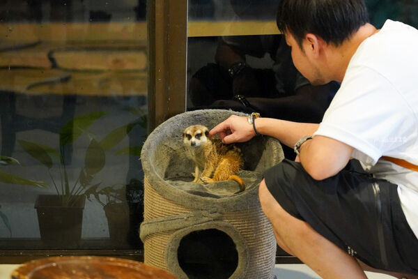 ▲▼Desaru Fruit Farm（迪沙魯果園）。（圖／Mika授權提供）