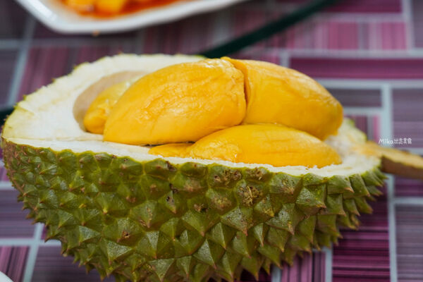 ▲▼Desaru Fruit Farm（迪沙魯果園）。（圖／Mika授權提供）