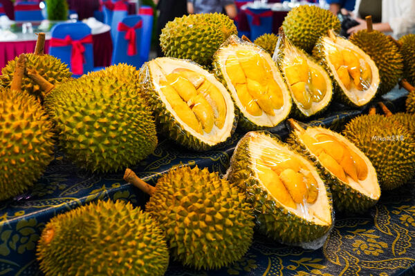 ▲▼Desaru Fruit Farm（迪沙魯果園）。（圖／Mika授權提供）