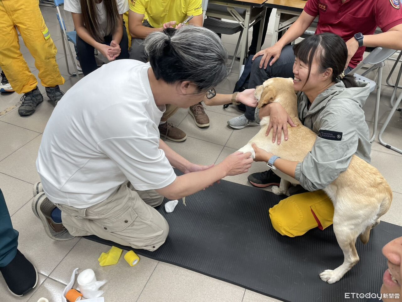 台南市特搜隊辦搜救犬醫療訓練 強化K9救護量能